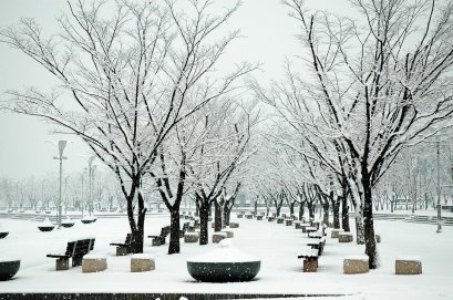 5 แหล่งช้อปปิ้งชื่อดังในกรุงโซล