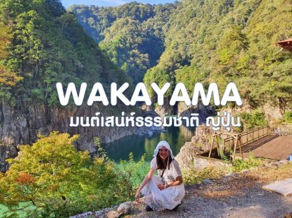 รีวิวเที่ยววะกายาม่าเต็มวัน : วันเดียวก็เที่ยวเต็มๆแบบเช้าเย็นกลับได้(copy)