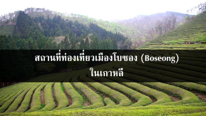 สถานที่ท่องเที่ยวเมืองโบซอง (Boseong) ในเกาหลี