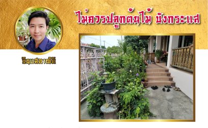 จัดสวนหน้าบ้านอย่างไรดี?