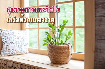 สุขภาพและจิตใจ มีผลสืบเนื่องมาจากหลักพลังงาน เบญจธาตุ