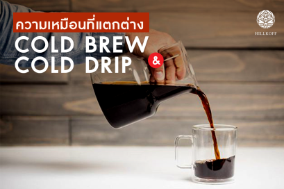 ความเหมือนที่แตกต่าง "Cold Brew & Cold Drip"