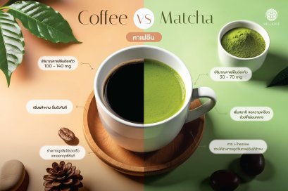 เปรียบเทียบปริมาณคาเฟอีนใน กาแฟและมัทฉะ รายละเอียดที่ควรรู้