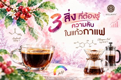 3 เรื่องจริงสุดเซอร์ไพรส์ จากแก้วกาแฟที่ต้องรู้