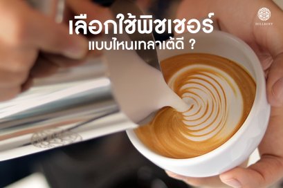 เลือกใช้พิชเชอร์แบบไหนให้เหมาะสม??