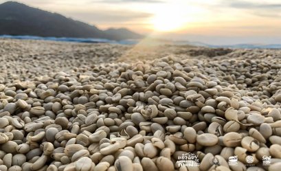 รู้ไหม ? ทำไมกาแฟจึงสร้างรายได้และเป็นเครื่องดื่มที่ได้รับความนิยมจากทั่วทุกมุมโลก