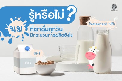 รู้หรือไม่ นมที่เราดื่ม ผลิตยังไง???