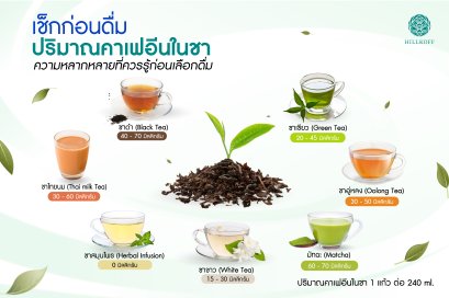 เช็กก่อนดื่ม.. ปริมาณคาเฟอีนในชา ความหลากหลายที่ควรรู้ก่อนเลือกดื่ม