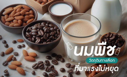 นมพืช วัตถุดิบทางเลือก ที่มาแรงไม่หยุด ‼️