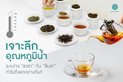 เจาะลึกอุณหภูมิน้ำระหว่าง "ชงชา" กับ "ชิมชา" ทำไมถึงแตกต่าง?