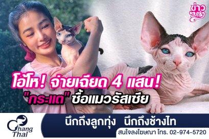โอ้โห! จ่ายเฉียด 4 แสน! "กระแต" ซื้อแมวรัสเซีย