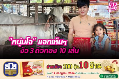 "หนุ่มโจ" แจกเห็นๆ งัว 3 ตัว ทอง 10 เส้น