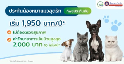 ประกันน้องหมาแมวสุดรัก เริ่มที่ 1,950 บาท/ปี
