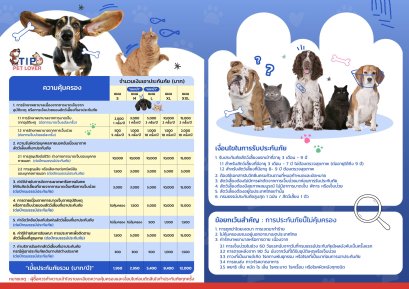 ประกันสัตว์เลี้ยง จากทิพยประกันภัย