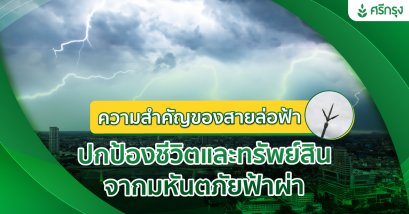 ความสำคัญของสายล่อฟ้า: ปกป้องชีวิตและทรัพย์สินจากมหันตภัยฟ้าผ่า