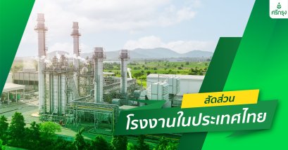 สัดส่วนโรงงานในไทย