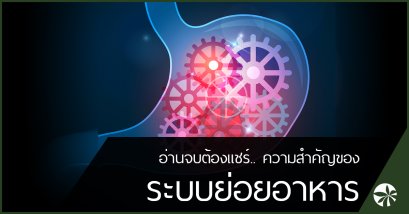 ระบบย่อยอาหารของร่างกาย สำคัญอย่างไร?	