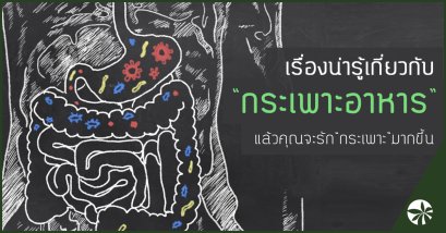 เรื่องน่ารู้เกี่ยวกับ กระเพาะอาหาร