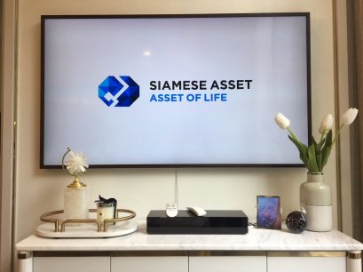 Siamese Exclusive 31