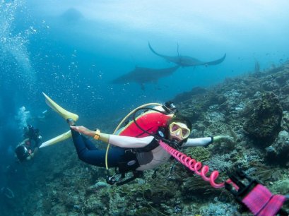 อยู่บ้านอย่างไรไม่ให้เฉา ... เตรียมแพ็คกระเป๋ารอ ตาม 3 บล็อกเกอร์ไปเที่ยวดำน้ำ เล่น Surf สุดมันส์ที่อินโดกัน !