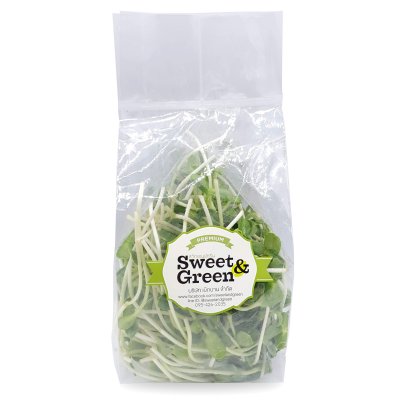sunflower sprout ต้นอ่อนทานตะวัน