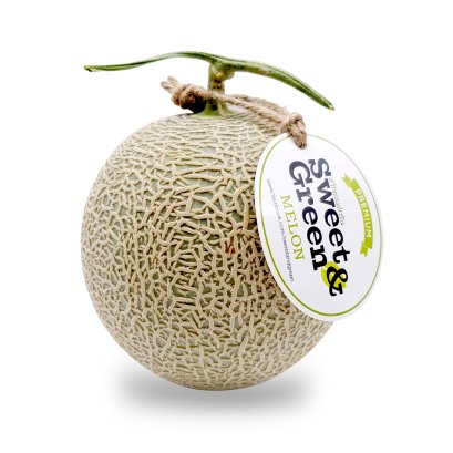 Japanese green melon เมล่อนญี่ปุ่นเนื้อฉ่ำ