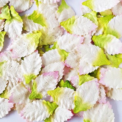 Set 100 Pcs. White Pink Leaves Mulberry Paper