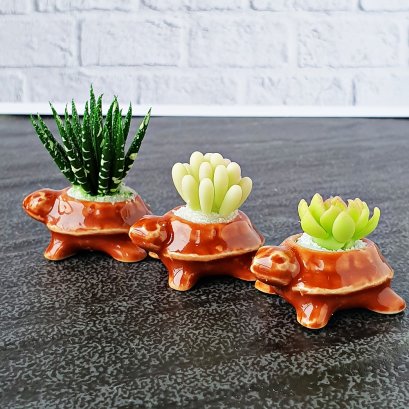 3 Set Miniatures Cactus Succulent Pot Dollhouse Garden Decoration