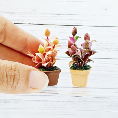 Miniatures Flowers Plants Pot