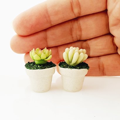 Handcrafted Miniature Succulent Plants in Ceramic Pots