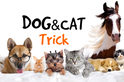 DOG&CAT TRICK