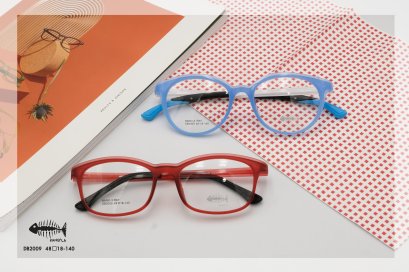 กรอบแว่นตาก้างปลา