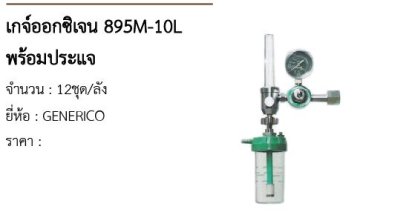 เกจ์ออกซิเจน 895M-10L พร้อมประแจ 
