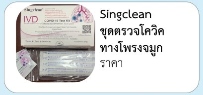 Singclean ชุดตรวจโควิค ทางโพรงจมูก