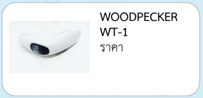 WOODPECKER WT-1