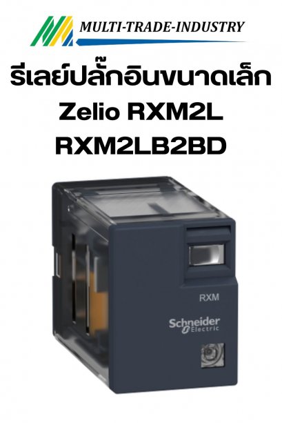 รีเลย์ปลั๊กอินขนาดเล็ก Zelio RXM2L (RXM2LB2BD)
