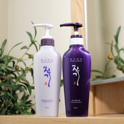 Daeng Gi Meo Ri Vitalizing Shampoo and Treatment Set 300ml