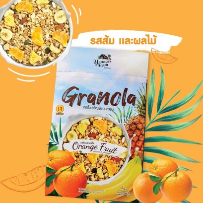 GRANOLA ORANGE AND FRUIT กราโนล่า  รสส้มและผลไม้ 225 g