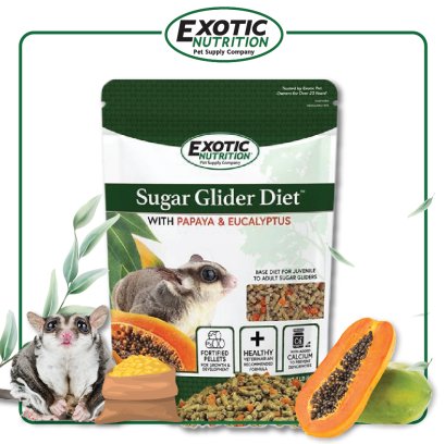 SUGAR GLIDER DIET WITH PAPAYA AND EUCALYPTUS