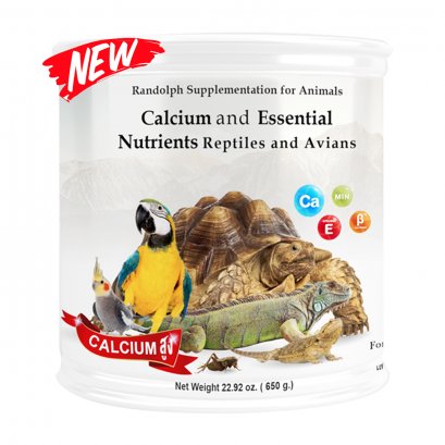 Calcium and Essential Nutrients for Reptiles and Evians