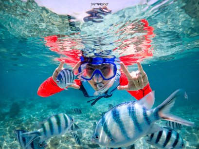 ดำน้ำ ดูปลาและปะการังที่แสมสาร