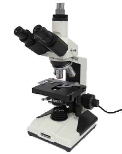 Biological Microscope - shodensha
