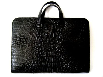 Crocodile Leather Suitcase Skin Bag Stock Photo - Image of shiny, golden:  13448616