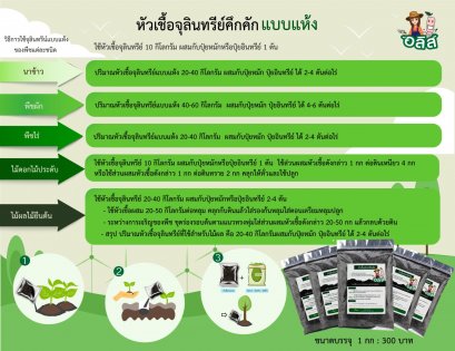 How to use microorganisms khukkhak DRY