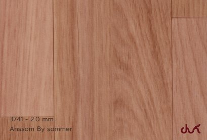 3741 ANSSOM 2.0 mm.