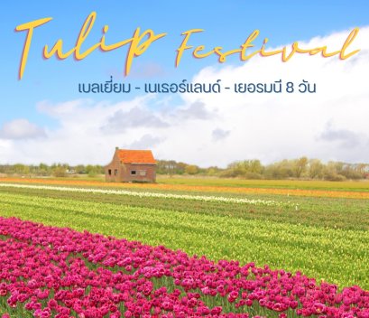 ทัวร์เยอรมัน เบลเยี่ยม เนเธอร์แลนด์ 2566 โปรโมชั่นราคาถูก อัพเดตทุกสัปดาห์