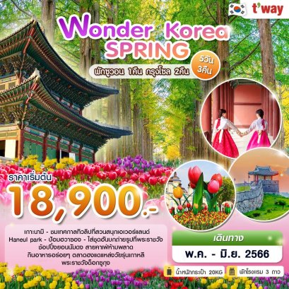ทัวร์เกาหลี ทัวร์เกาหลี 2566 โปรโมชั่นเที่ยวเกาหลีราคาถูก