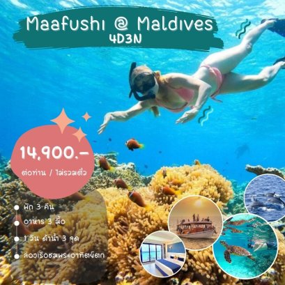 ทัวร์มัลดีฟส์ : MAAFUSHI   LOCAL  ISLAND