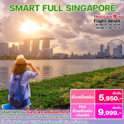 BSZ-17.3 PACKAGE SINGAPORE HTL+TICKET