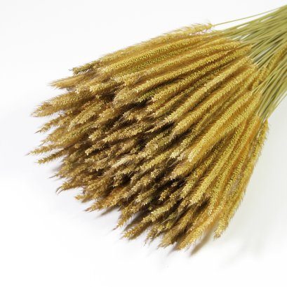 Natural Dried Flower